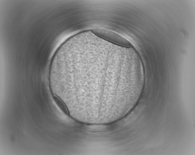 X0000115511392200911271421