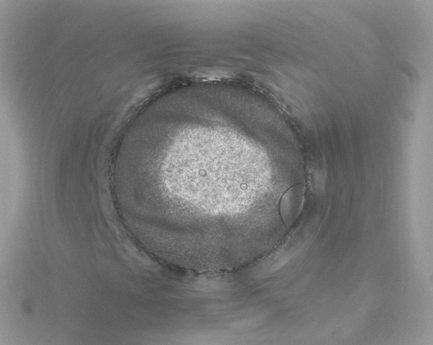 X0000115511393200911271421