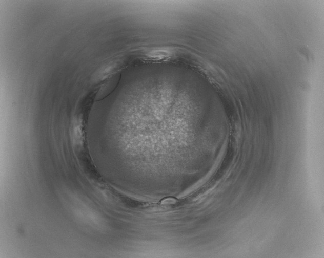 X0000115511394200911271421