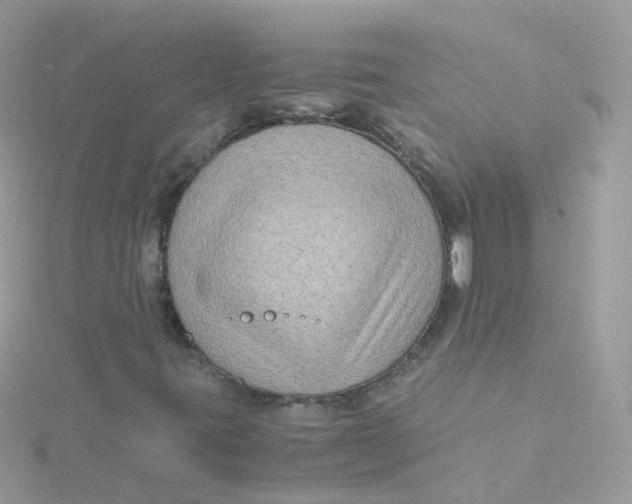 X0000115511395200911271421