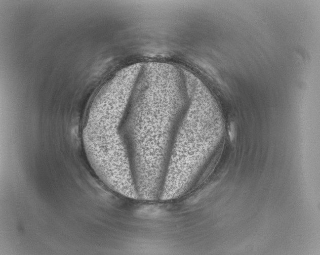 X0000115511396200911271421