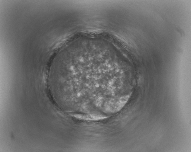 X0000115511397200911271421