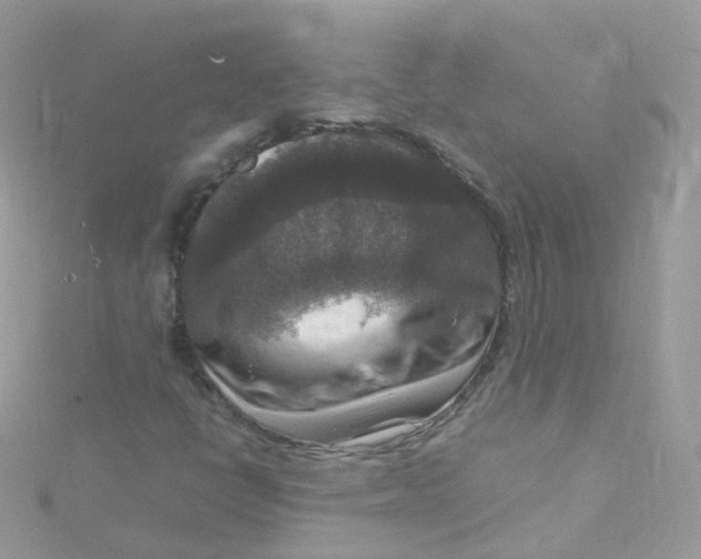 X0000115511398200911271421