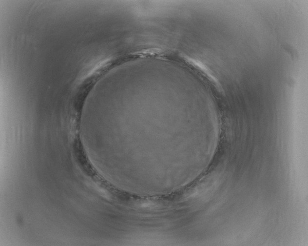 X0000115511399200911271421