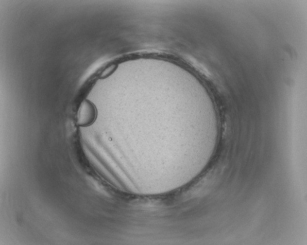 X0000115511400200911271421