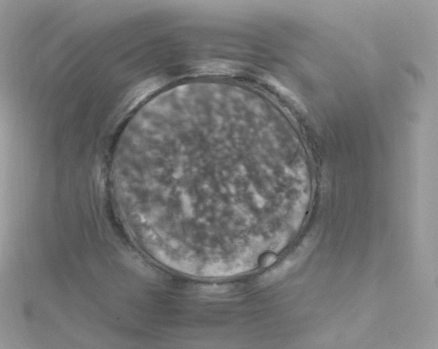 X0000115511401200911271421