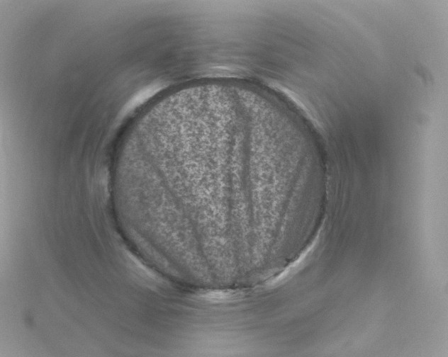 X0000115511402200911271421