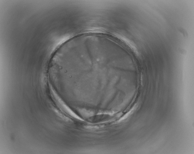 X0000115511405200911271421