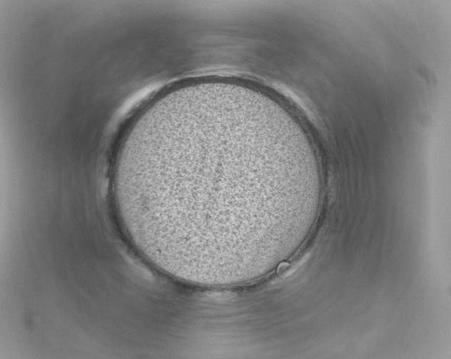 X0000115511406200911271421