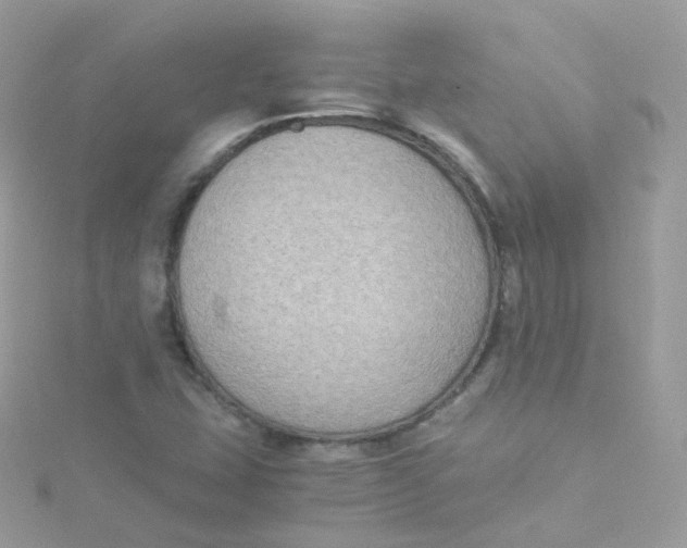 X0000115511407200911271421