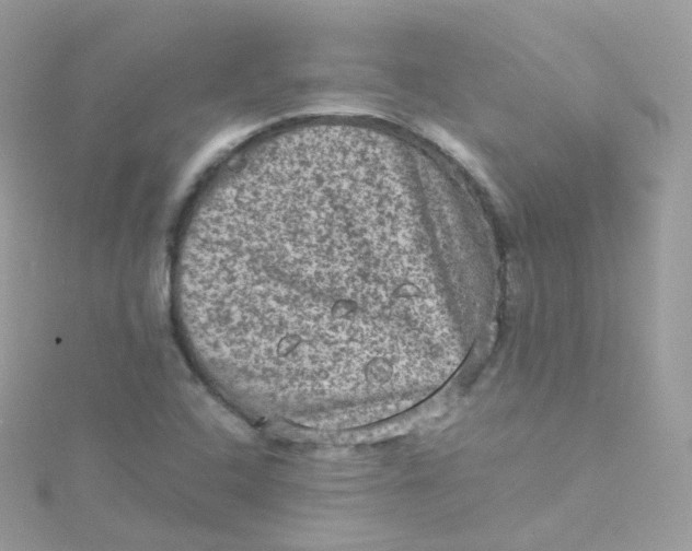 X0000115511408200911271421