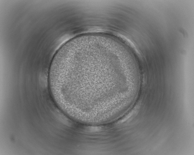 X0000115511409200911271421