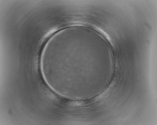 X0000115511411200911271421