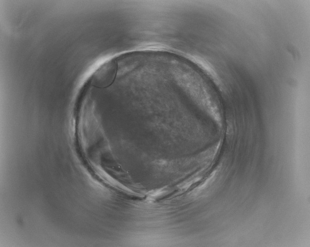 X0000115511414200911271421