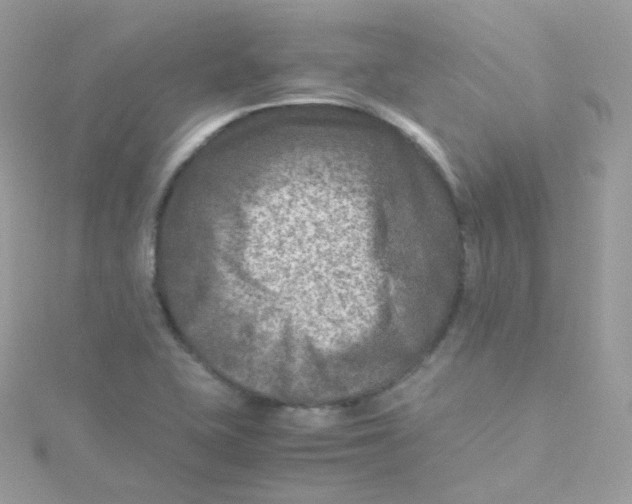 X0000115511415200911271421