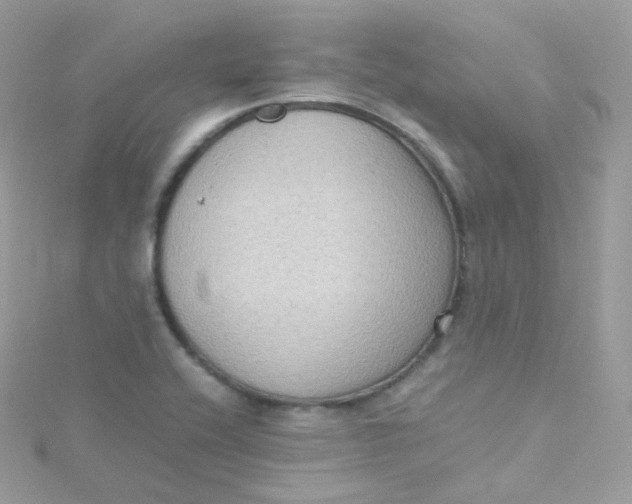 X0000115511416200911271421