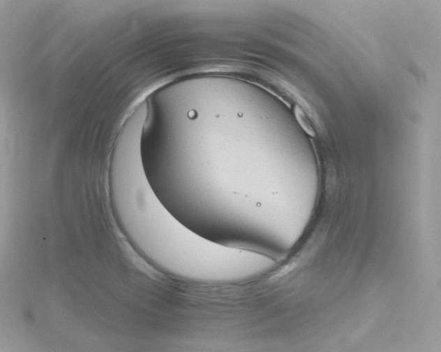 X0000115511417200911271421