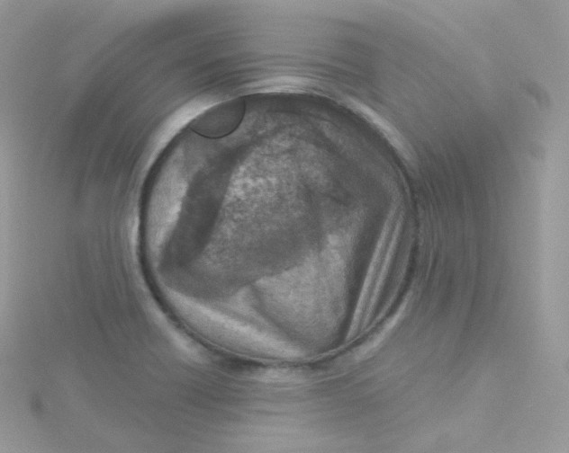 X0000115511418200911271421