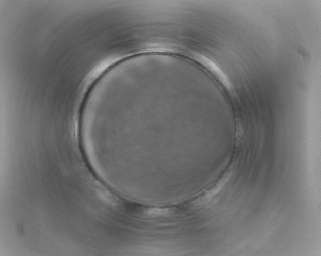 X0000115511419200911271421