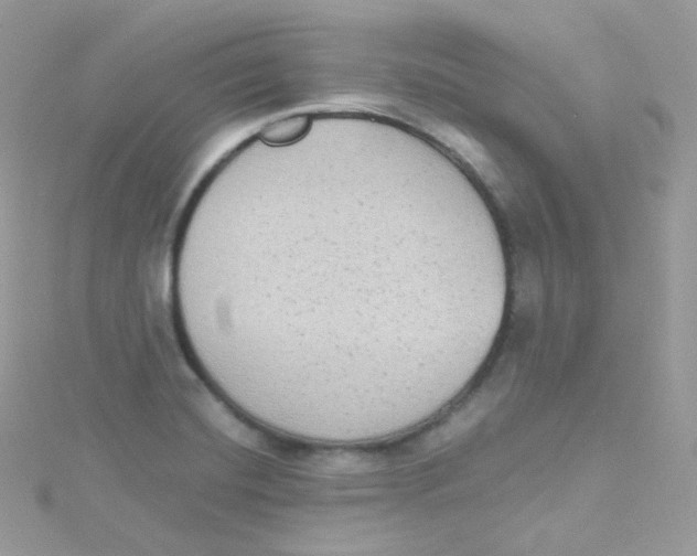 X0000115511420200911271421