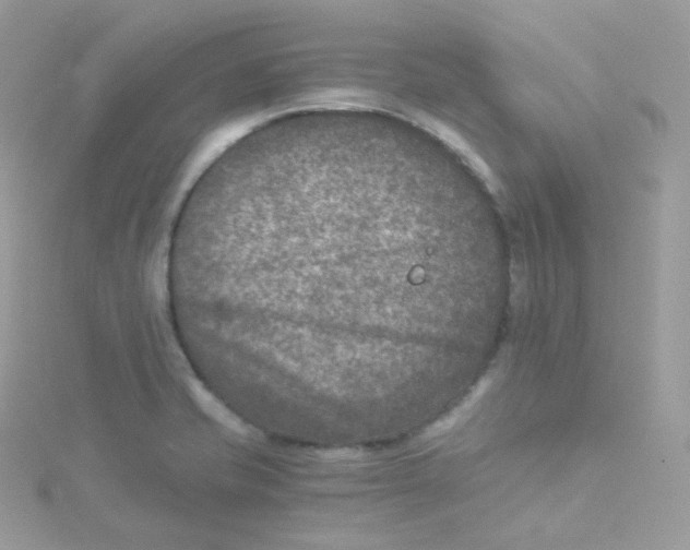 X0000115511421200911271421