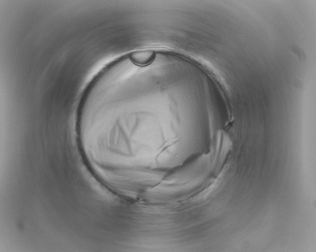 X0000115511422200911271421