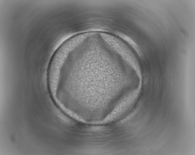 X0000115511423200911271421