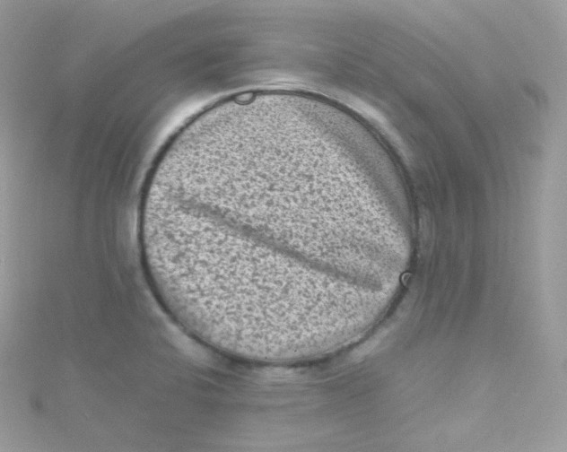 X0000115511424200911271421