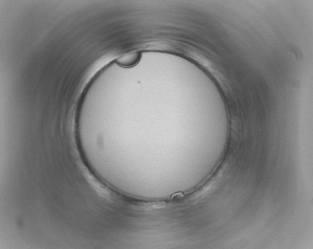 X0000115511426200911271421