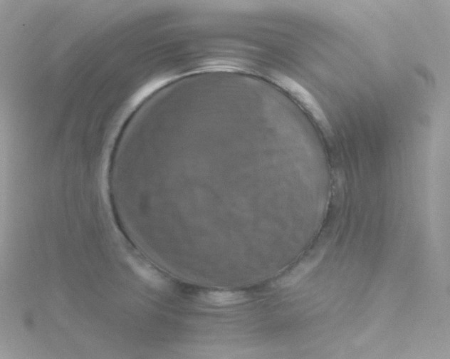 X0000115511427200911271421