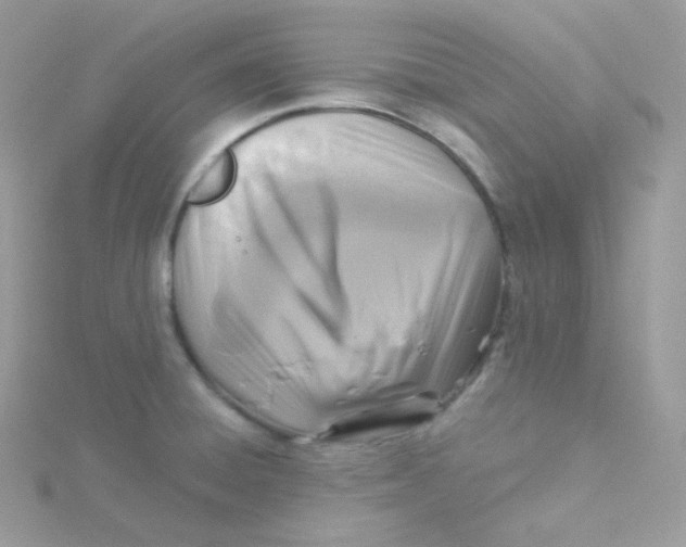 X0000115511428200911271421