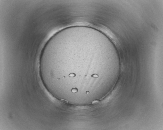 X0000115511430200911271421