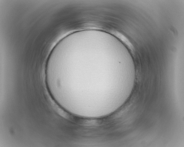 X0000115511431200911271421