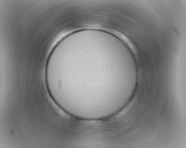 X0000115511432200911271421