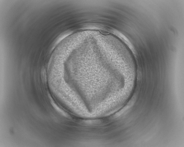 X0000115511433200911271421