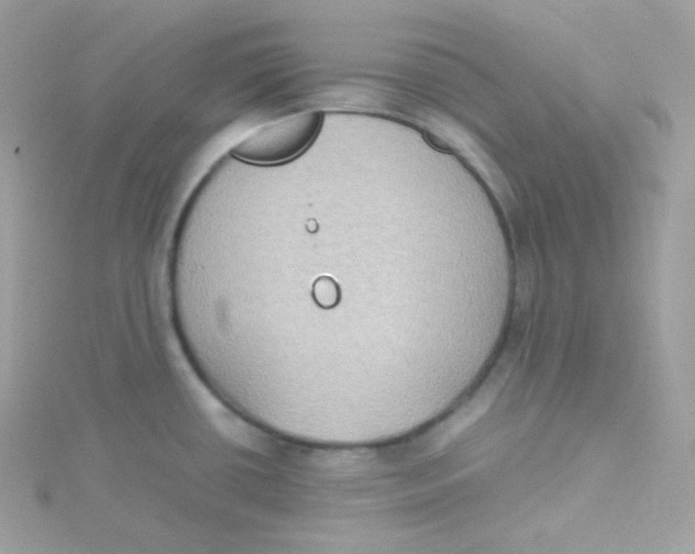 X0000115511434200911271421