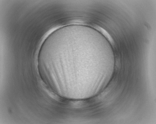 X0000115511435200911271421