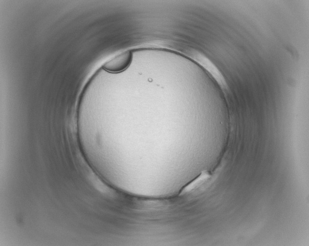 X0000115511436200911271421