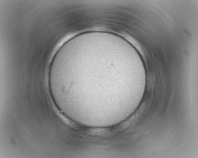 X0000115511437200911271421