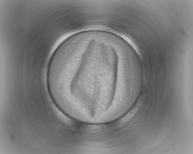 X0000115511438200911271421