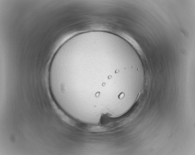 X0000115511439200911271421