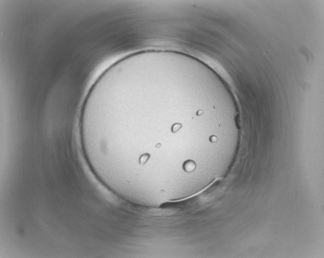 X0000115511440200911271421