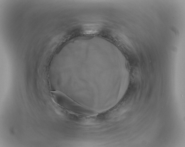 X0000115511441200911271421