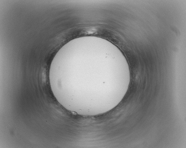 X0000115511442200911271421