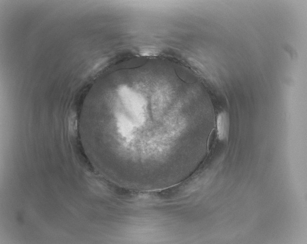 X0000115511443200911271421