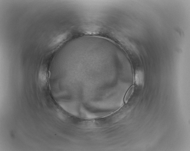 X0000115511444200911271421