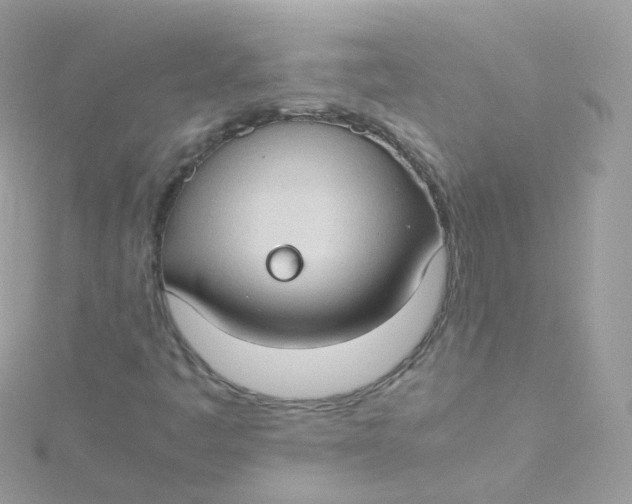 X0000115511445200911271421