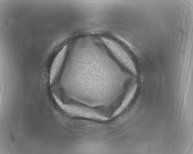 X0000115511447200911271421