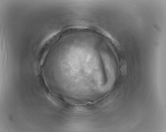 X0000115511448200911271421