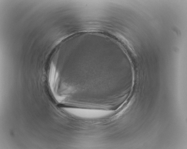 X0000115511449200911271421